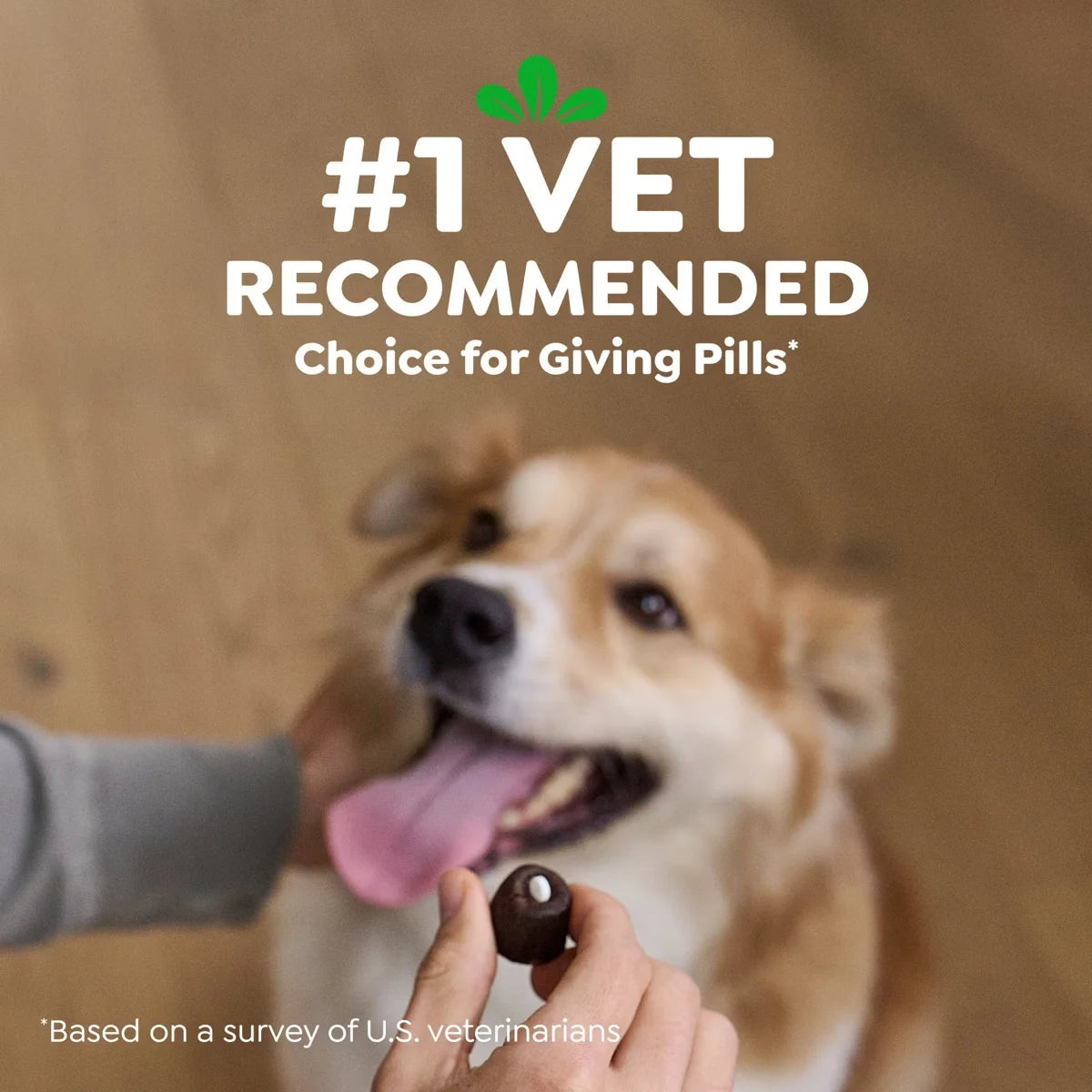 Greenies Chewy Dog Pill Pockets Peanut Butter Capsule Size Dog Treats