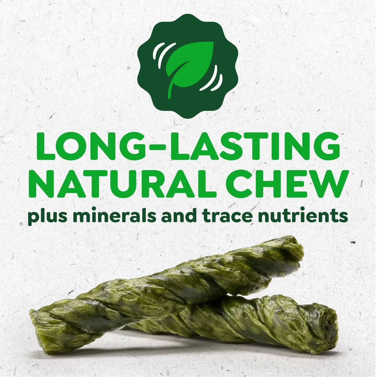Greenies Occupy Twists Original Chicken Petite Long-Lasting Dog Treats - 8.78oz/10ct